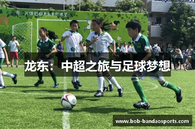 龙东：中超之旅与足球梦想