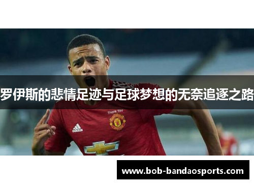 罗伊斯的悲情足迹与足球梦想的无奈追逐之路