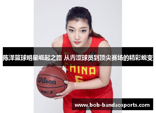 陈泽篮球明星崛起之路 从青涩球员到顶尖赛场的精彩蜕变