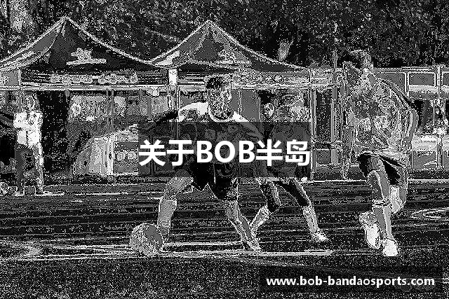关于BOB半岛